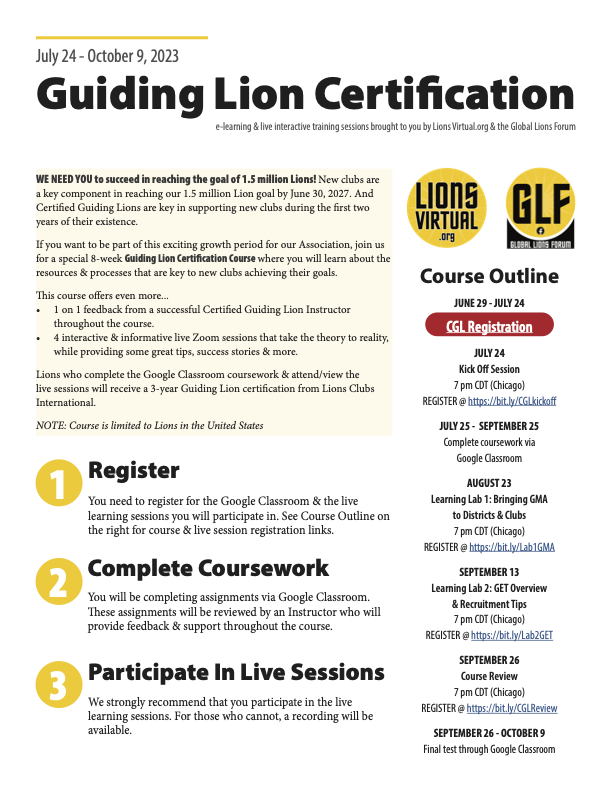 Guiding Lion Training