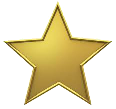 Excellence Award Star
