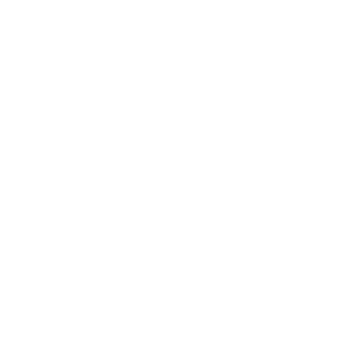 LCI Icon